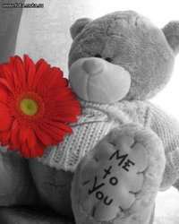 мишка - плюшка, няшка, мишка - оригинал