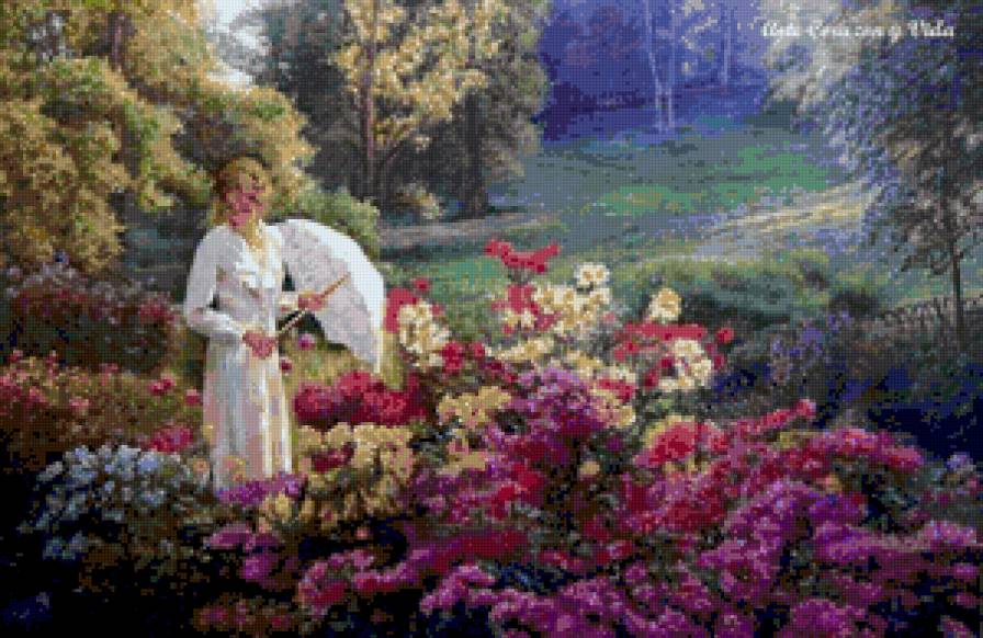 Dama - предпросмотр