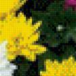 Предпросмотр схемы вышивки «россыпь цветов» (№769810)