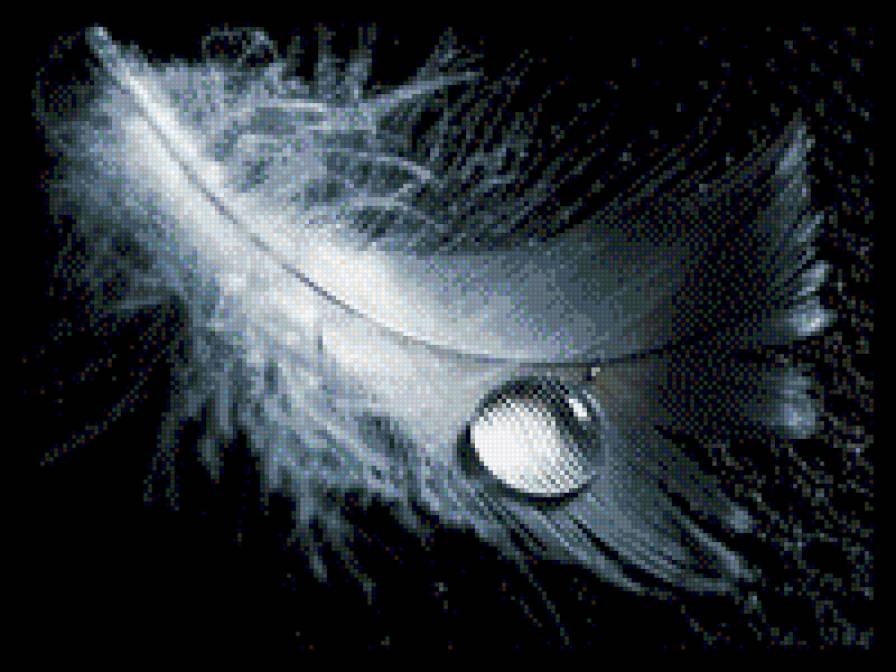 Перышко - предпросмотр