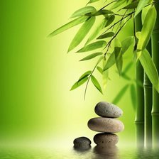 Схема вышивки «подушка бамбук 3»