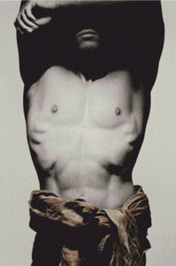 Парень - мужчина, мужское тело, торс - предпросмотр