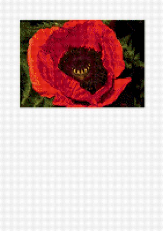 мак - предпросмотр