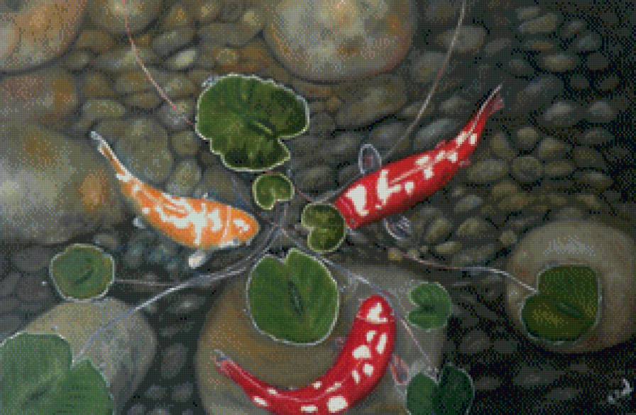 карпы кои - предпросмотр