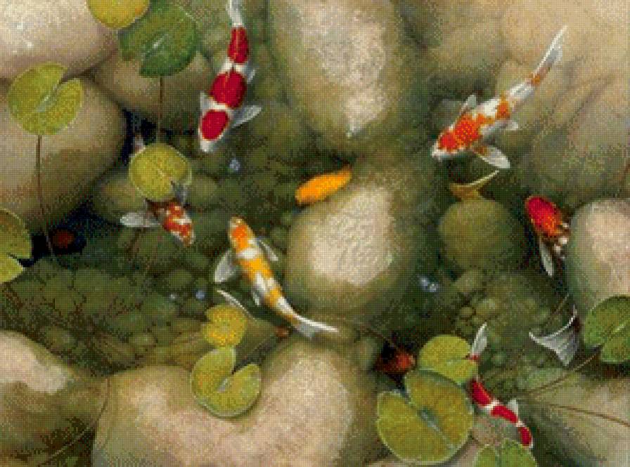 карпы кои - предпросмотр