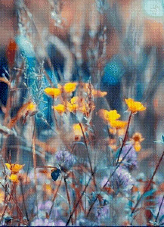 поле - поле - предпросмотр