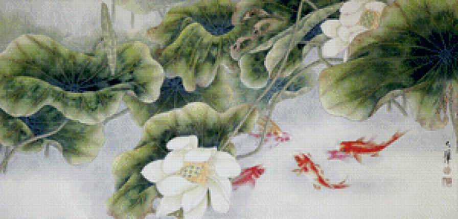 карпы кои - предпросмотр