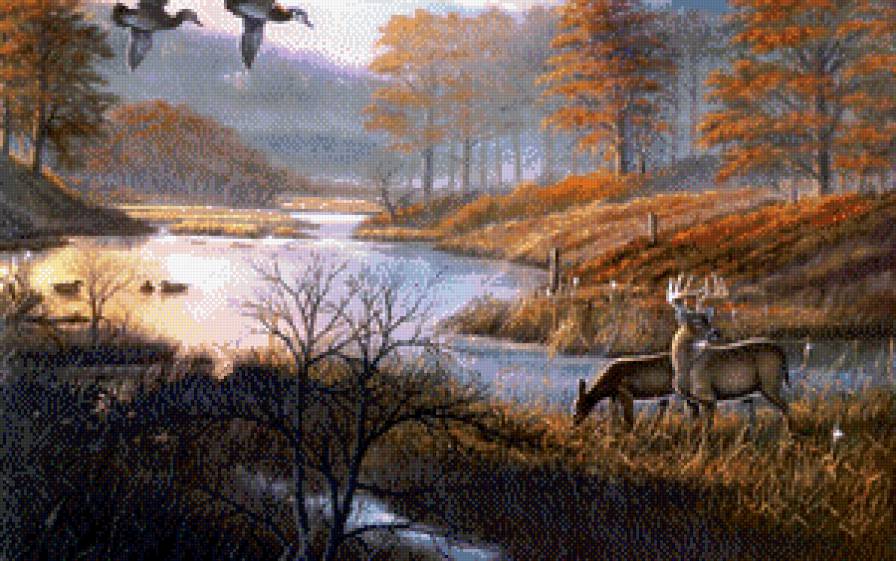 №770548 - осень, природа, озеро, красота - предпросмотр