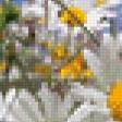 Предпросмотр схемы вышивки «Ромашковое поле» (№770590)