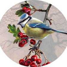 Схема вышивки «№770816»