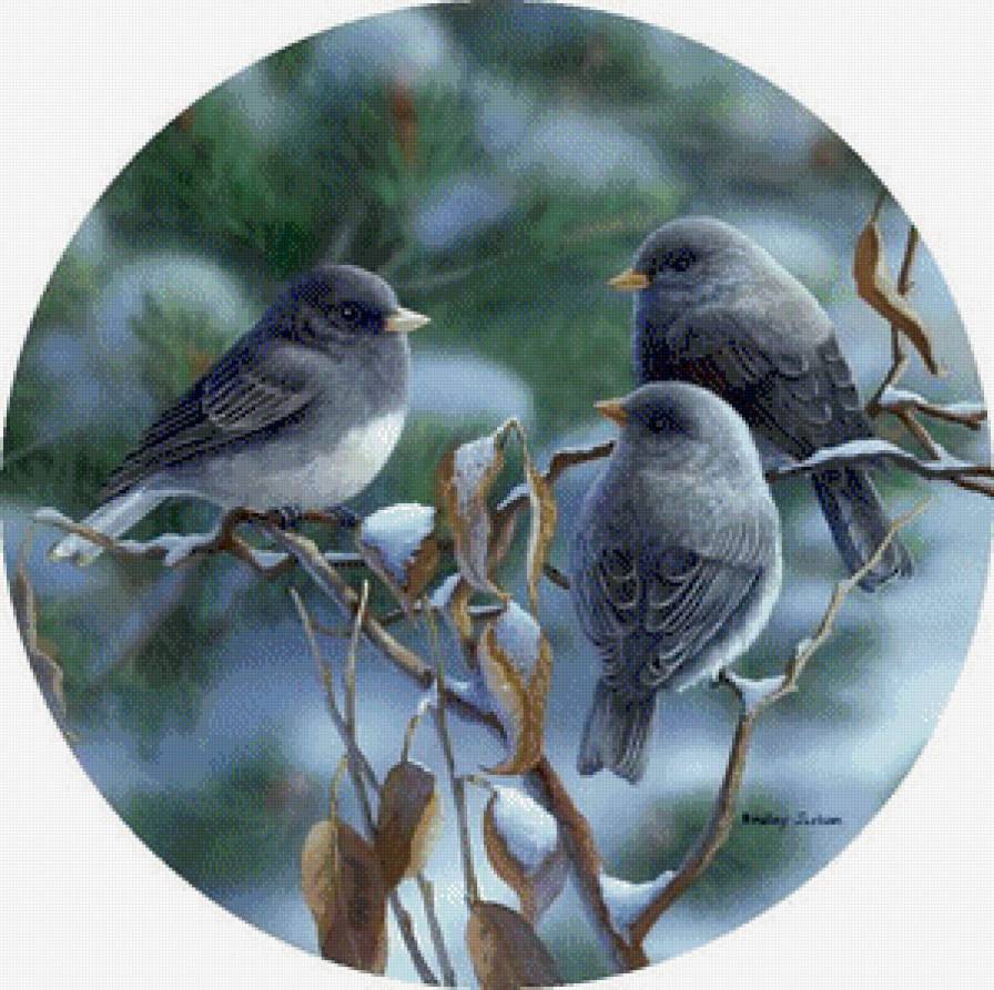 №770818 - предпросмотр