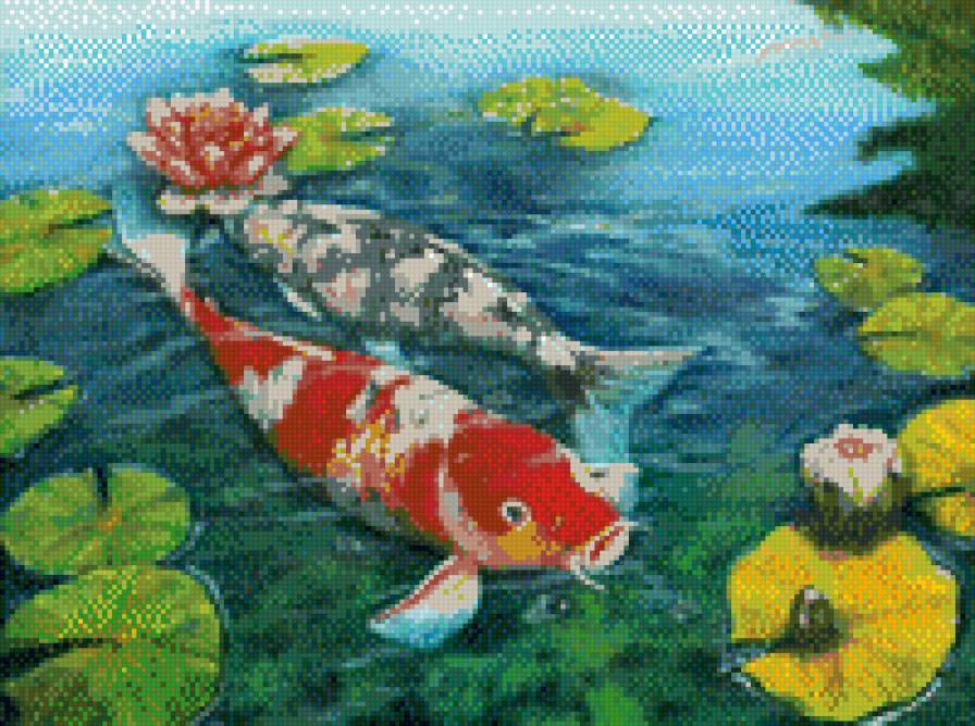 Два карпа - рыбы, символы, фэн-шуй, карпы - предпросмотр
