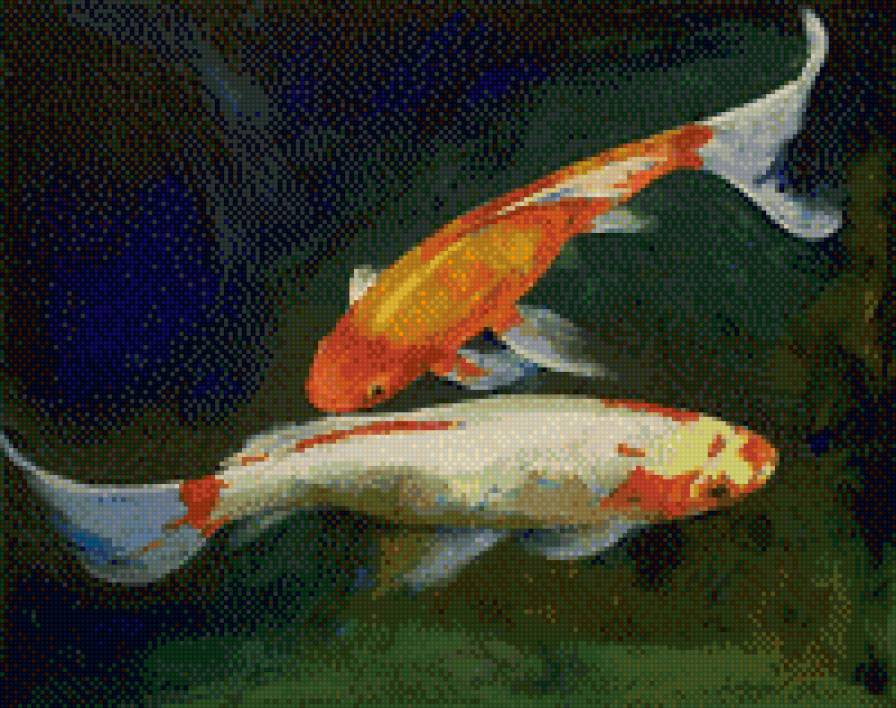 №770919 - рыбы, карпы, символы, фэн-шуй - предпросмотр