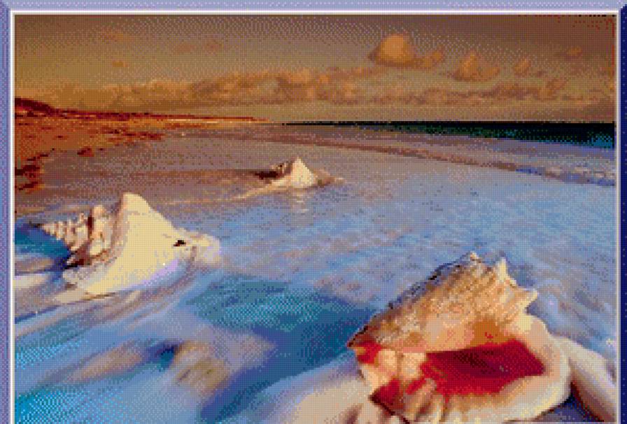 Ракушки - берег, море, пляж - предпросмотр