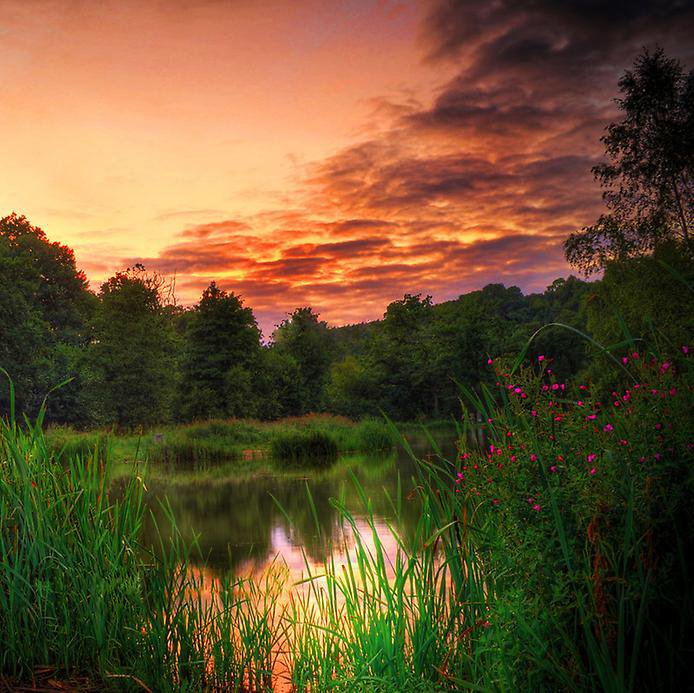 №771109 - пейзаж - оригинал