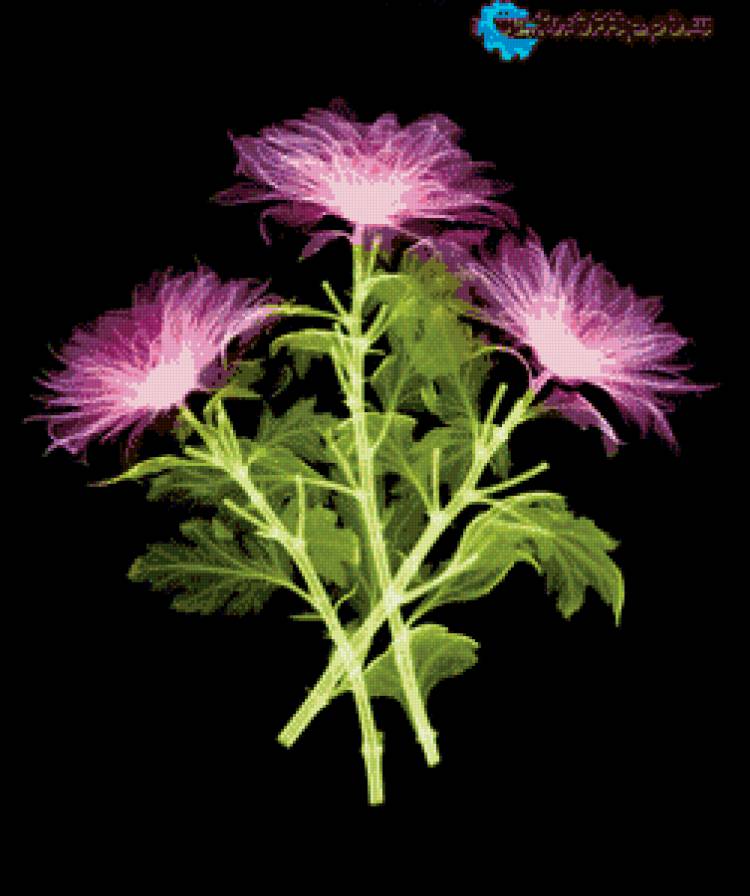 №771112 - цветы - предпросмотр