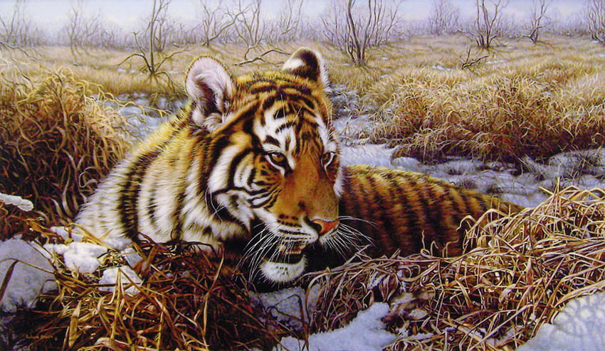 А я люблю купаться - оригинал