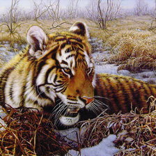 А я люблю купаться