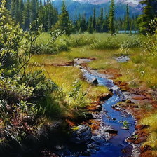 Лесной ручеёк