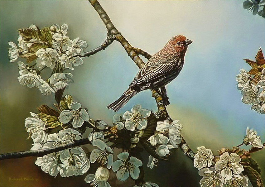 Птица на яблоне - оригинал