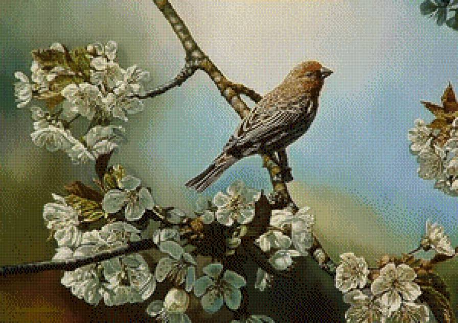 Птица на яблоне - предпросмотр