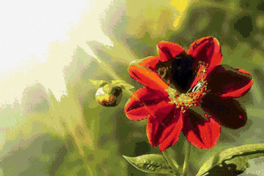 Цветы - пейзаж - предпросмотр