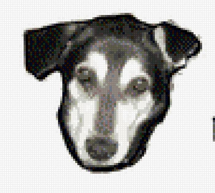 Лордик - предпросмотр