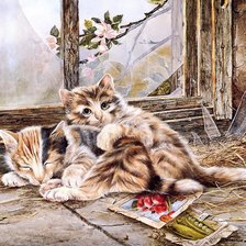 Схема вышивки «приютились»