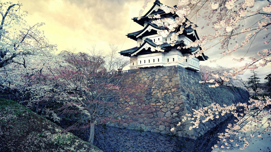 Замок Химедзи - замок, архитектура, сакура, япония - оригинал