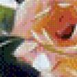 Предпросмотр схемы вышивки «картина-роза в вазе» (№771741)