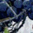 Предпросмотр схемы вышивки «Инжир с малиной и виноградом» (№771938)