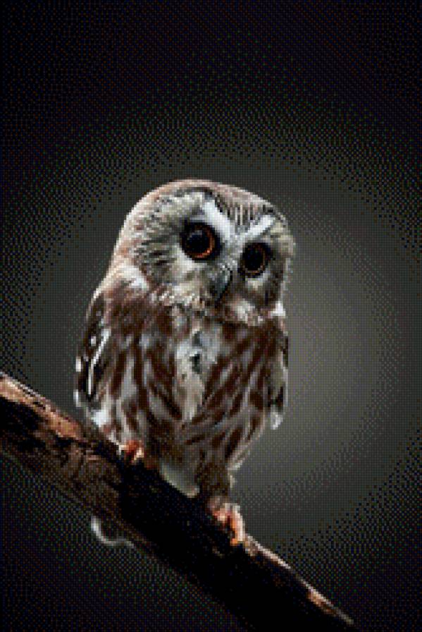 №771996 - предпросмотр