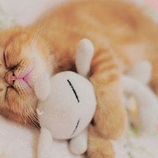 Схема вышивки «котя»