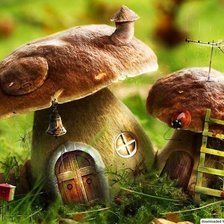 сказочные грибы 1