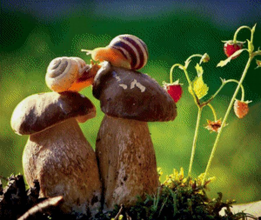 улитки - лето, природа - предпросмотр