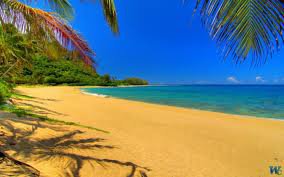 пляж - природа - оригинал