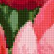 Предпросмотр схемы вышивки «поле тюльпанов» (№772411)
