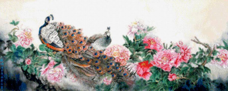 павлины - предпросмотр