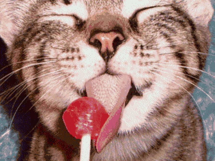 животные - кот - предпросмотр