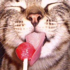 Схема вышивки «животные»