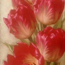 Оригинал схемы вышивки «тюльпаны» (№772973)