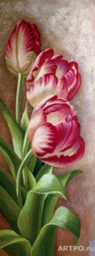 тюльпаны - предпросмотр