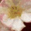 Предпросмотр схемы вышивки «тюльпаны» (№773000)