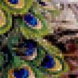 Предпросмотр схемы вышивки «павлины» (№773001)