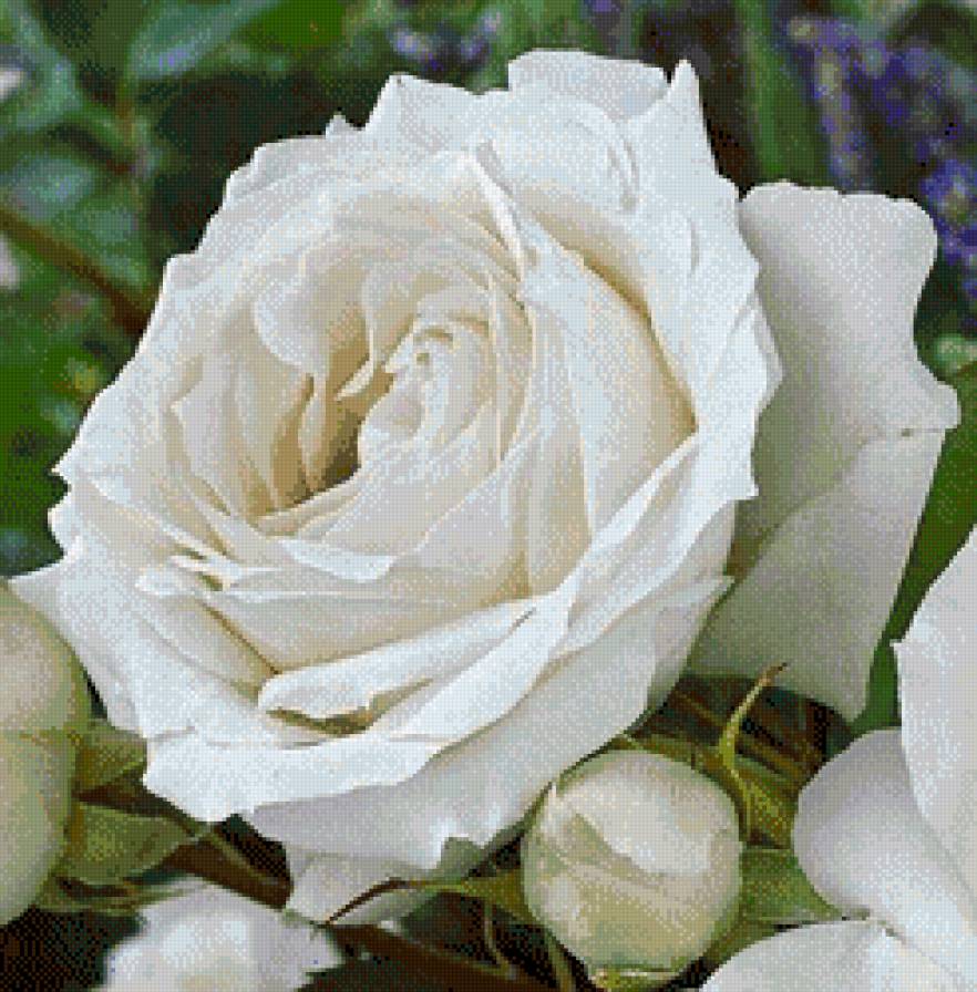 №773161 - предпросмотр