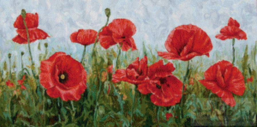 маки - предпросмотр