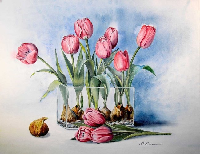 тюльпаны - оригинал