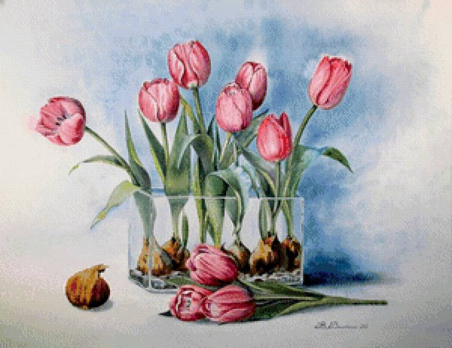 тюльпаны - предпросмотр