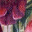 Предпросмотр схемы вышивки «тюльпаны» (№773348)