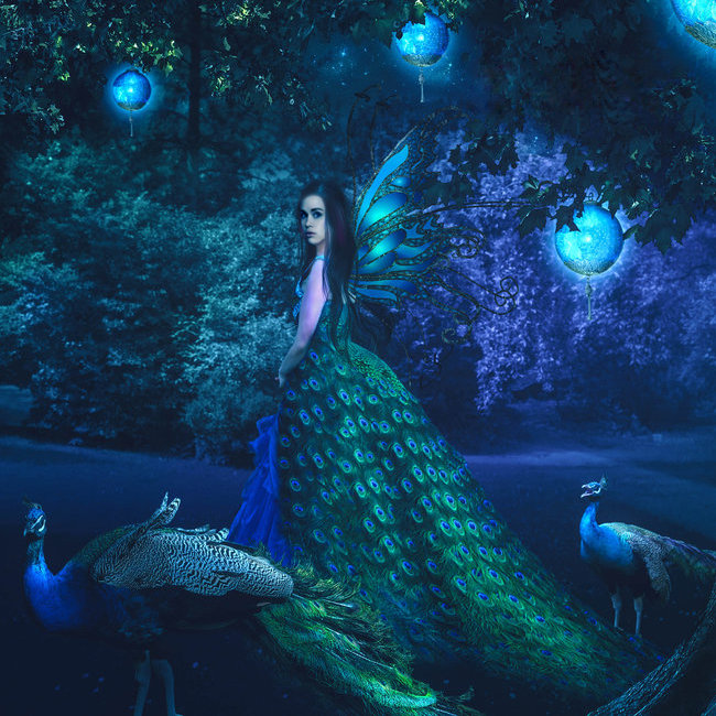 лесная чаща - девушка, лес, сказка, павлин - оригинал